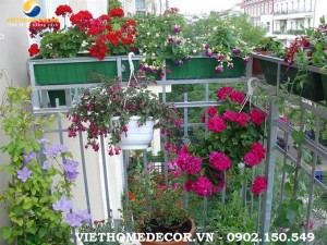 1110 thiet-ke-noi-that-thiet-ke-san-vuon-chung-cu